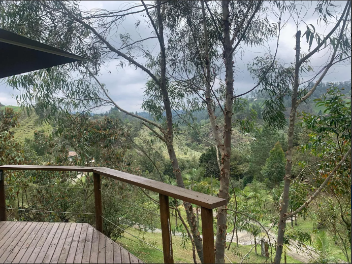 857301320240725114146