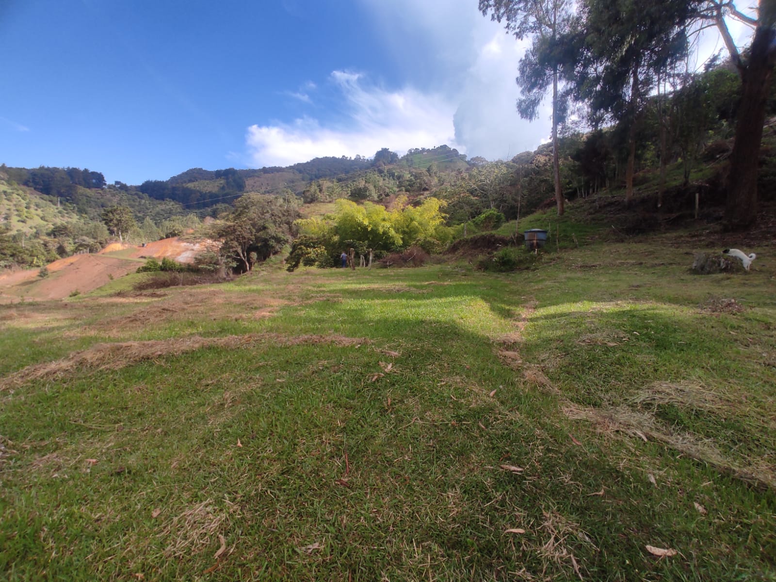 85730120260120035703