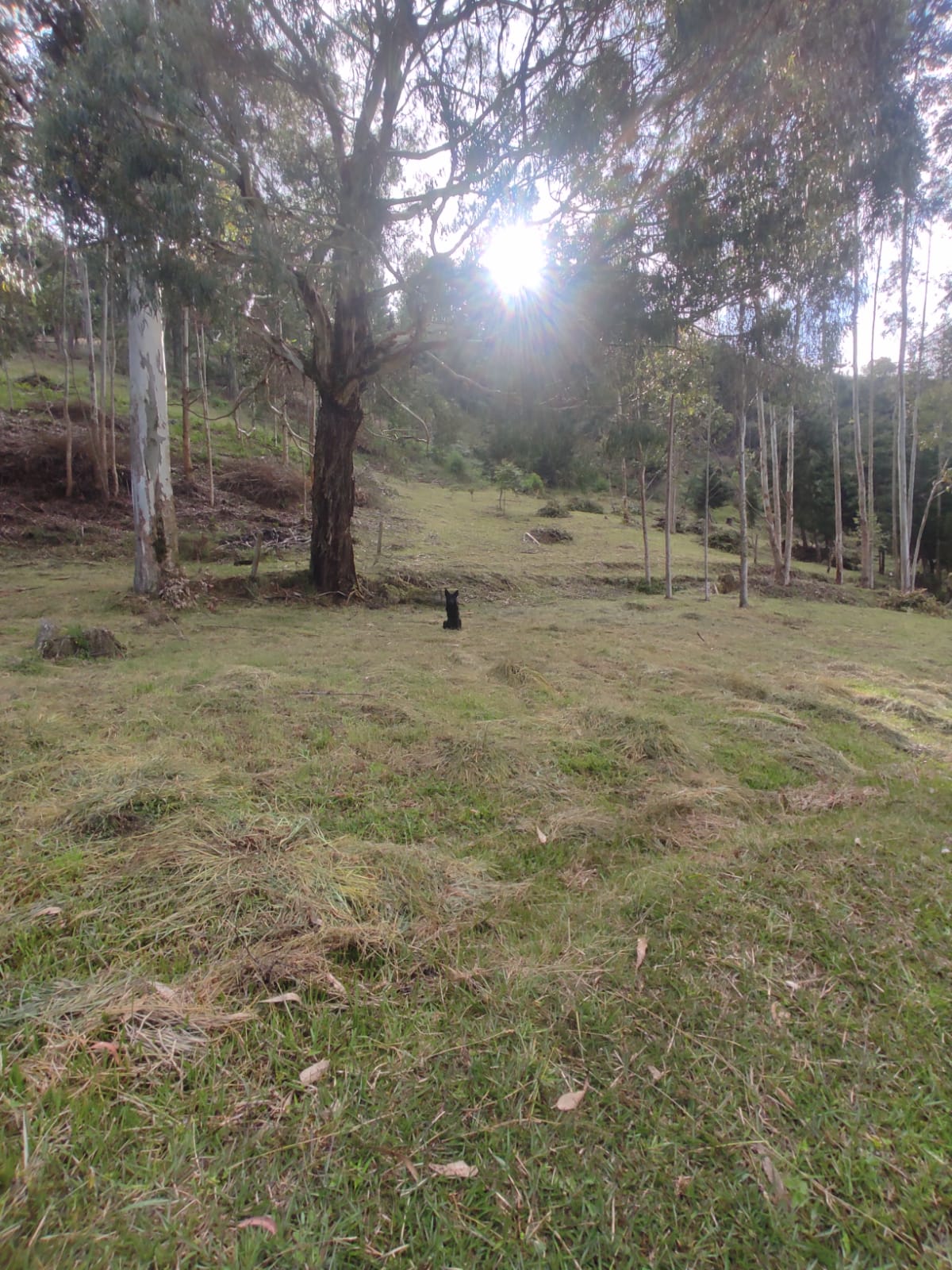 85730320260120035703