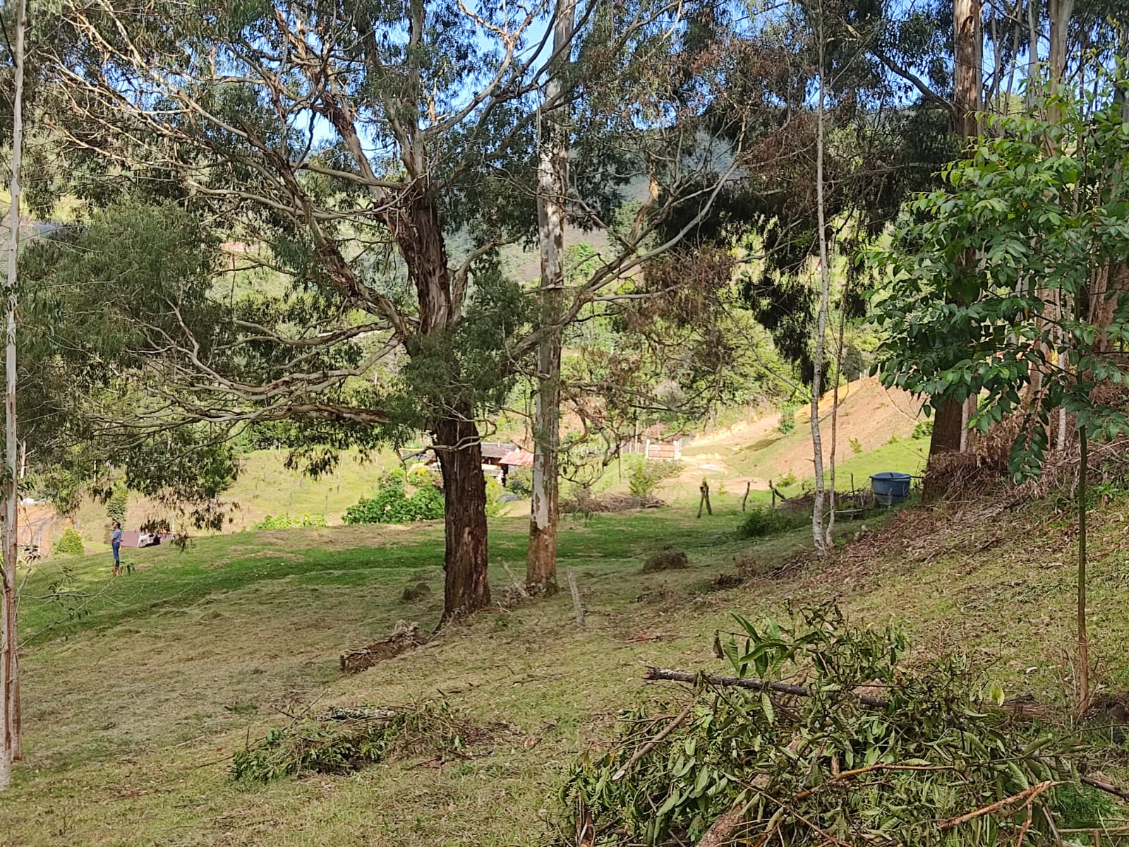 85730420260120035704