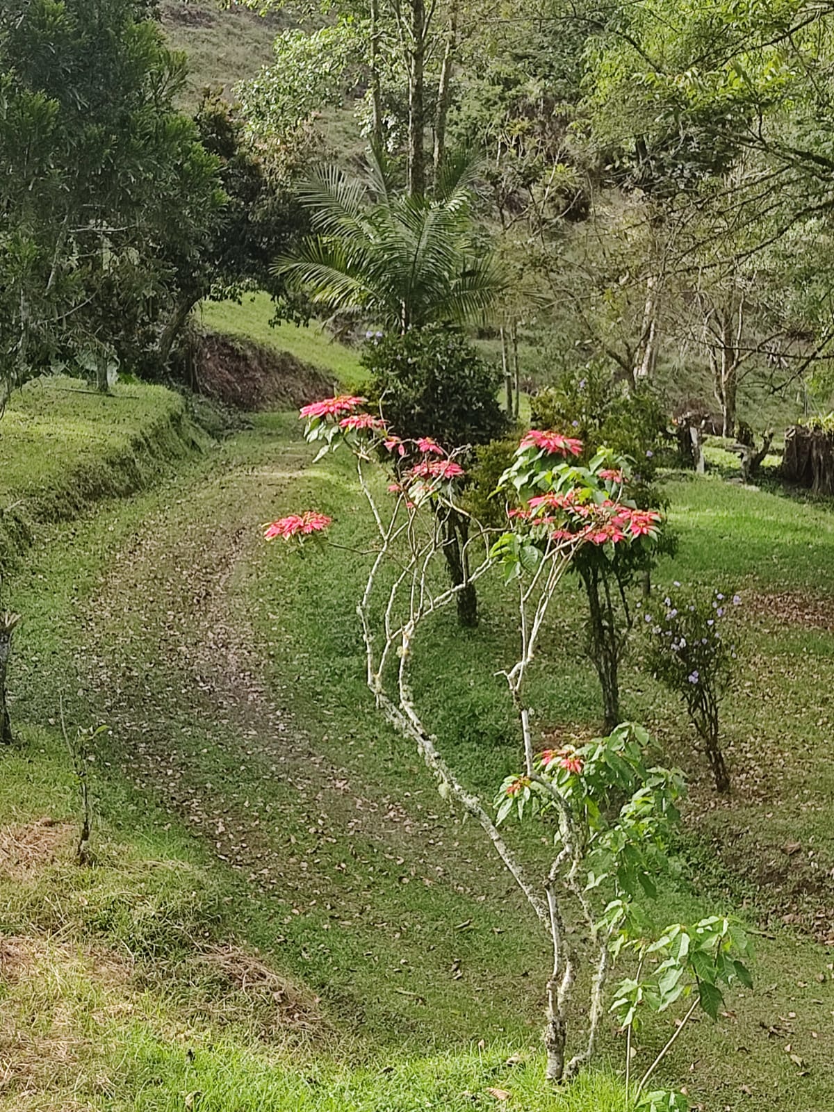 85730520260120035704