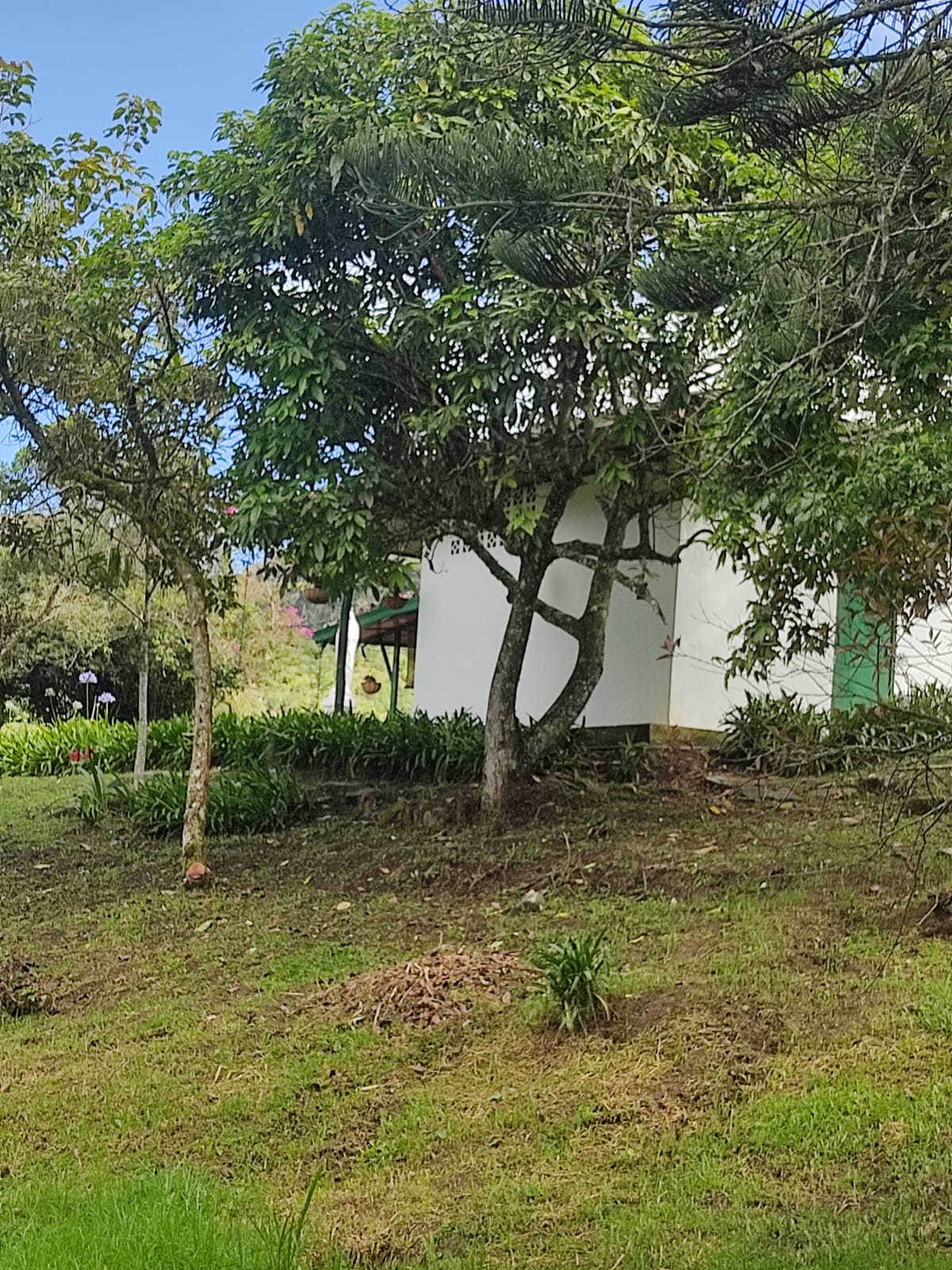 85730620260120035705