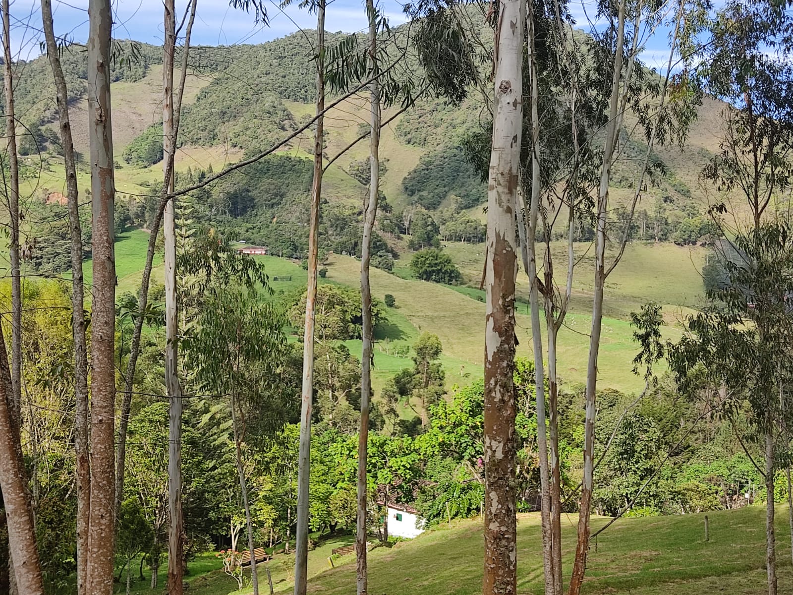 85730720260120035705