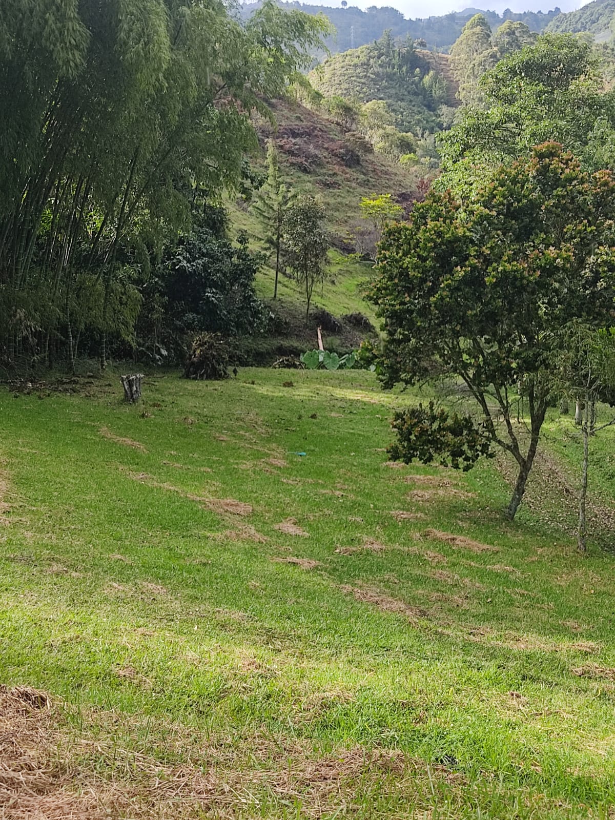 85730820260120035705