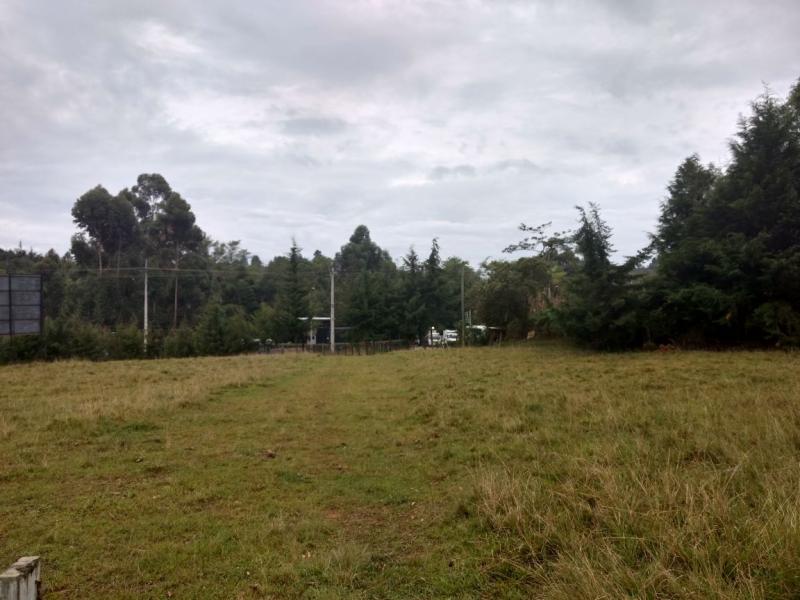 2022060434362881255251787