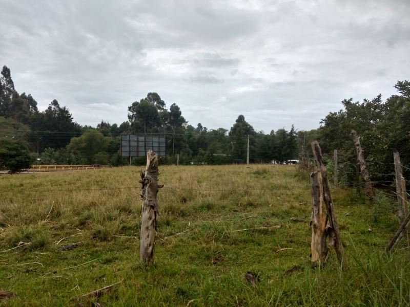 2022060434372784725251787