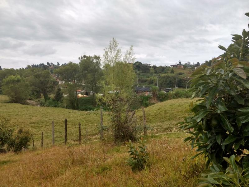 2022060434388282725251787