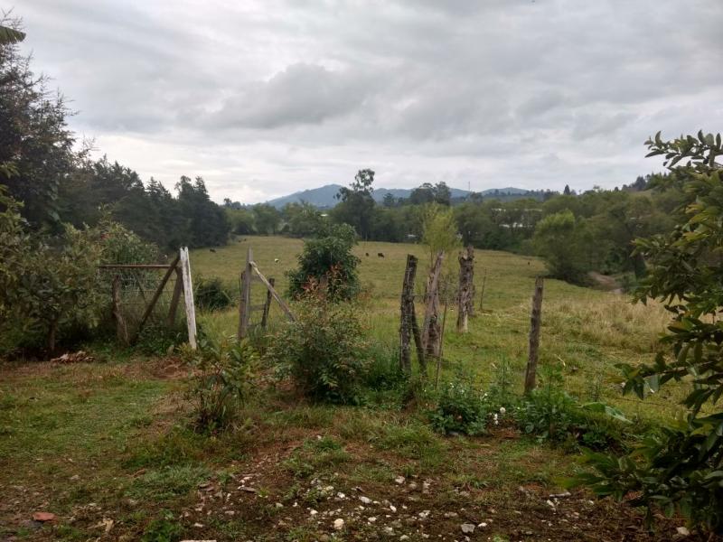 2022060434394487435251787