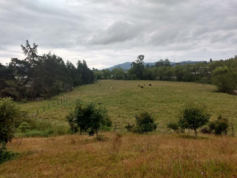 2022060434421316525251787