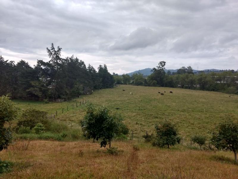 2022060434431144805251787