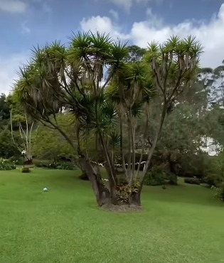 Finca en venta en Guarne, Antioquia.