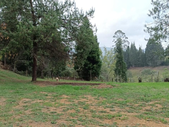Lote en venta en GUARNE, Sector Vereda La Hondita.