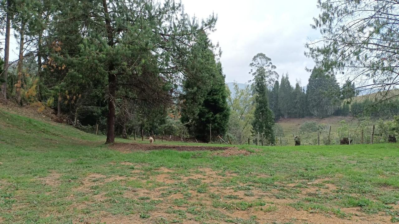 85730120260516063139 Lote en venta en GUARNE, Sector Vereda La Hondita.