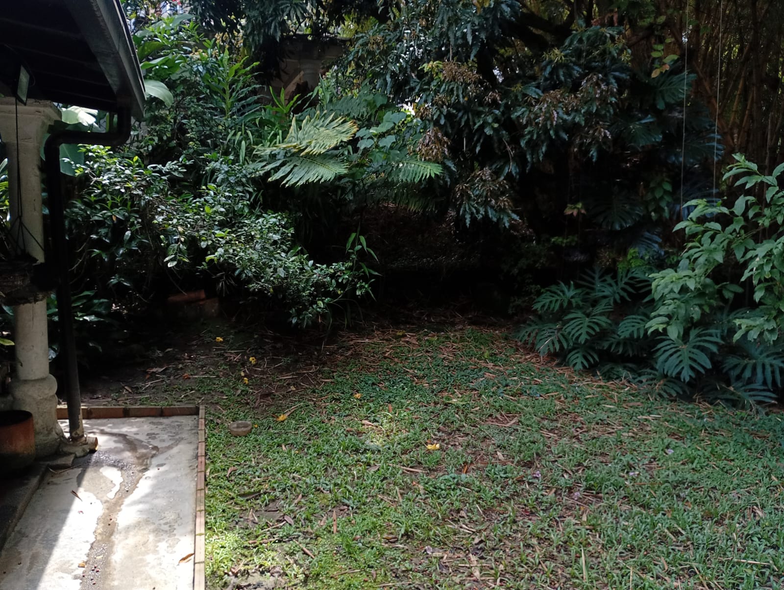 857302020260429011717 Casa Lote Venta, Barrio Poblado, Sector Provenza Parte Alta.
