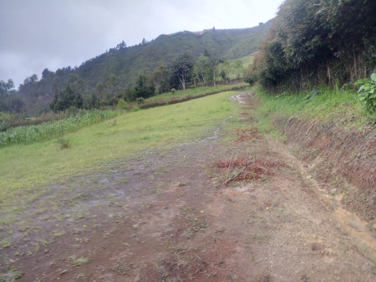 85730220260515120146 Lote en venta en SAN VICENTE, Sector Vereda La Enea.