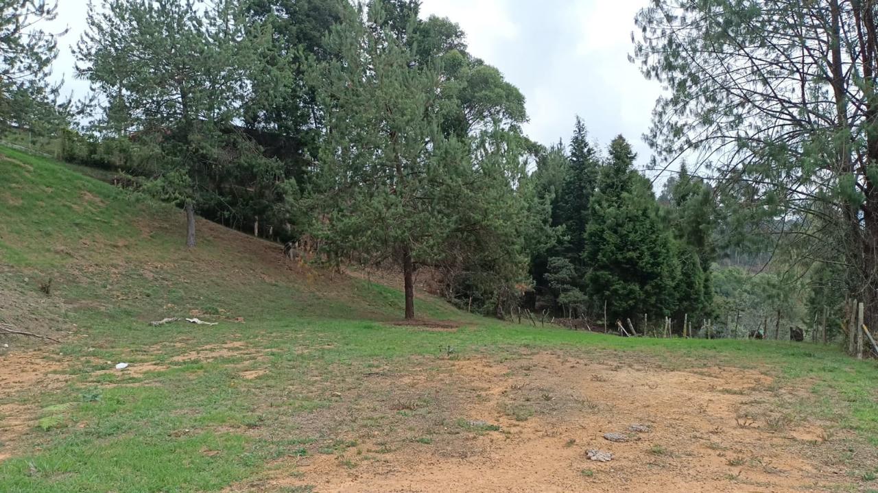 85730220260516063140 Lote en venta en GUARNE, Sector Vereda La Hondita.