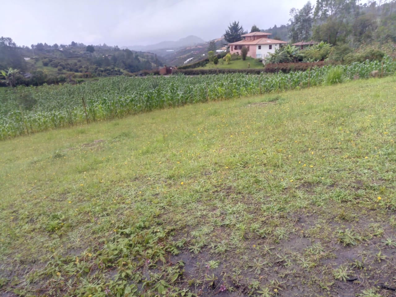 85730320260515120146 Lote en venta en SAN VICENTE, Sector Vereda La Enea.