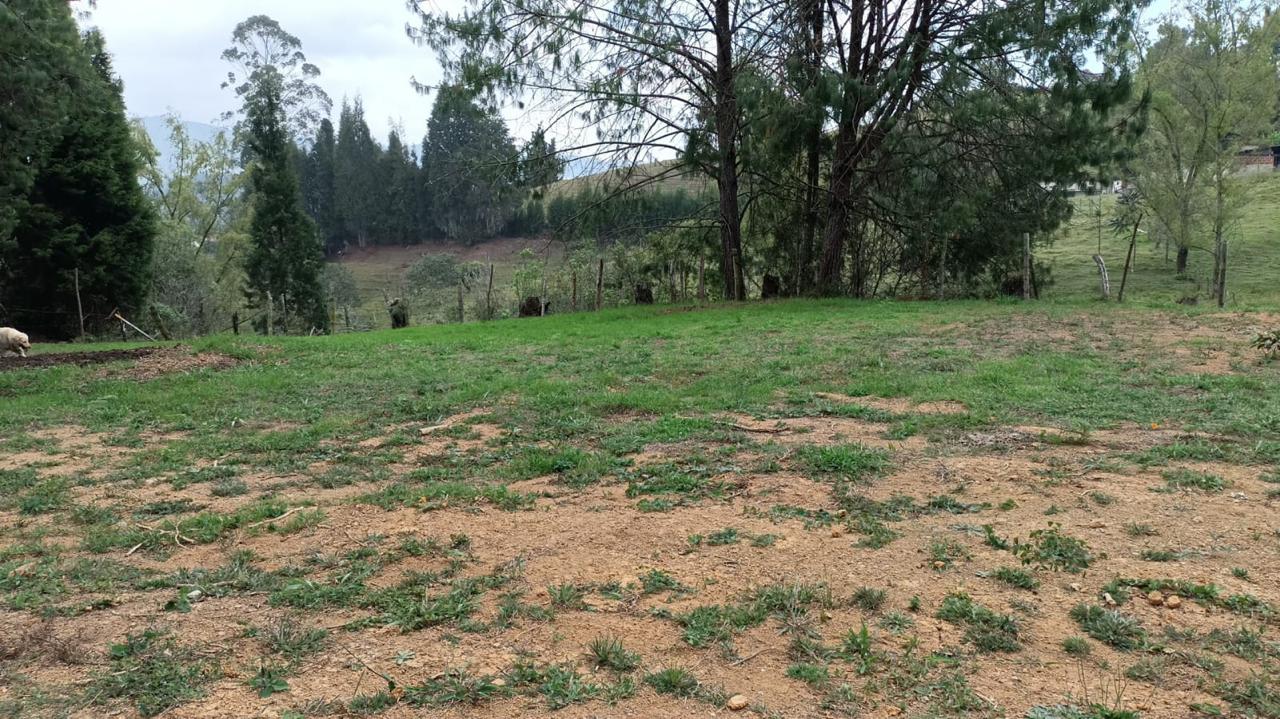 85730320260516063141 Lote en venta en GUARNE, Sector Vereda La Hondita.