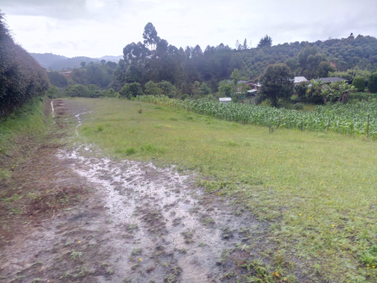 85730420260515120147 Lote en venta en SAN VICENTE, Sector Vereda La Enea.