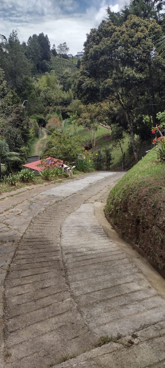 Casa en alquiler, Vereda La Pastorcita Guarne