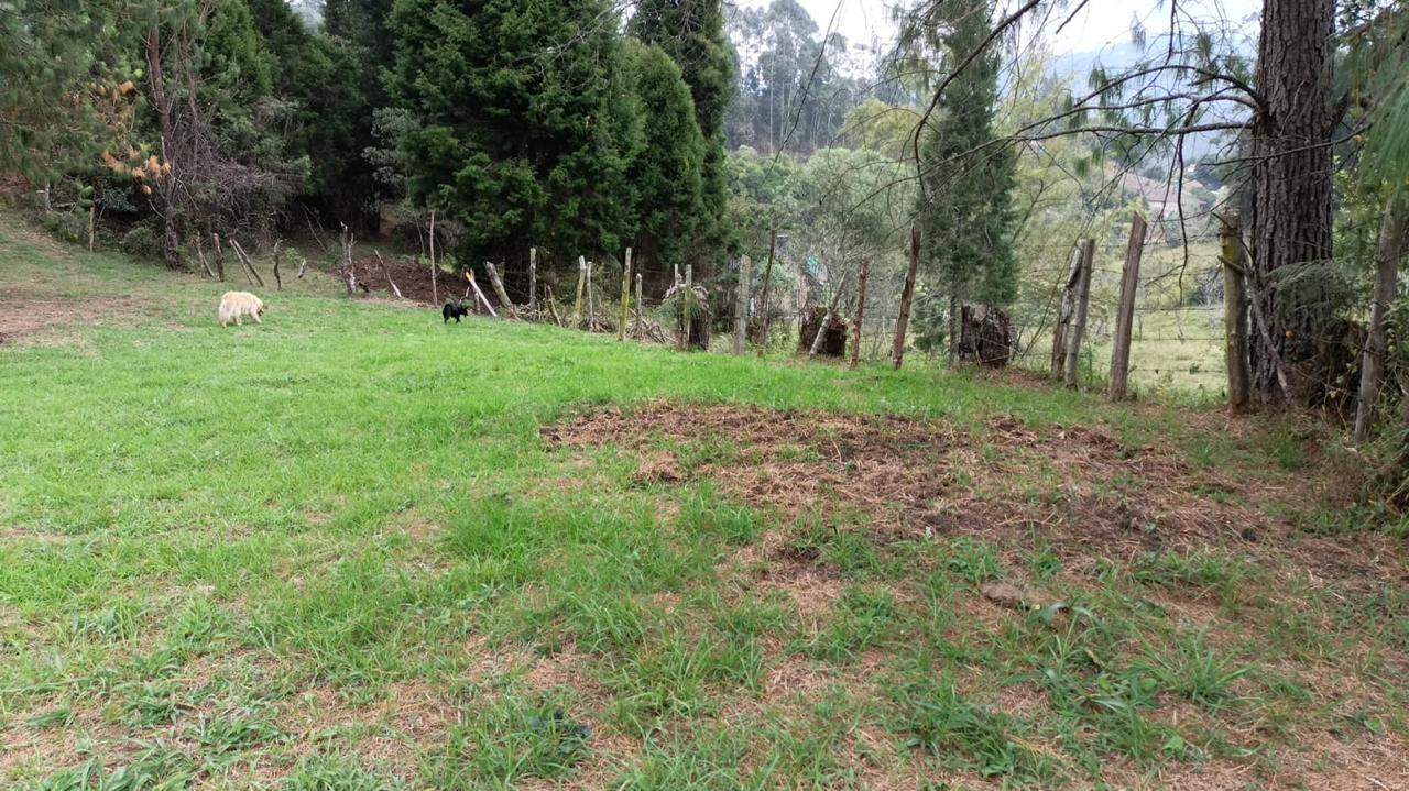 85730420260516063141 Lote en venta en GUARNE, Sector Vereda La Hondita.