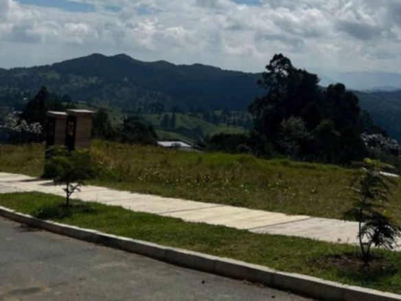 Lote Residencial en Venta, Alto de Palmas