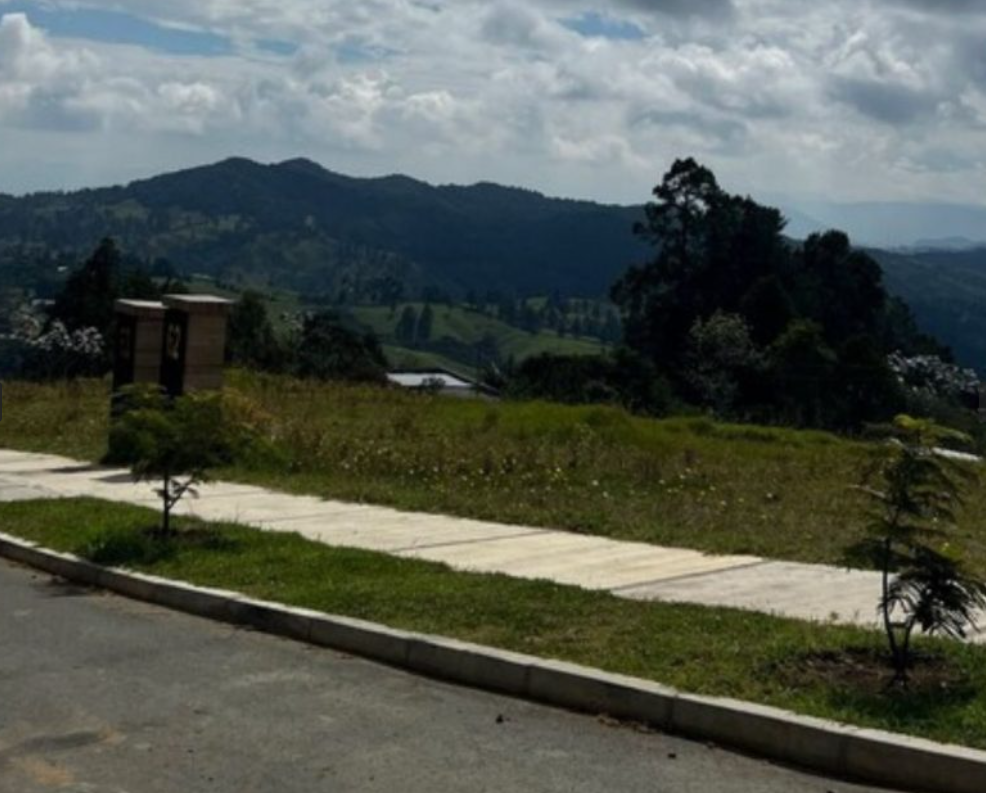Lote Residencial en Venta, Alto de Palmas