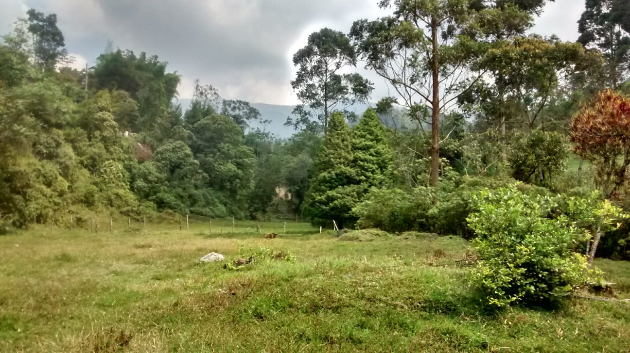 857301220260711123946 Lote en venta Caldas Antioquia