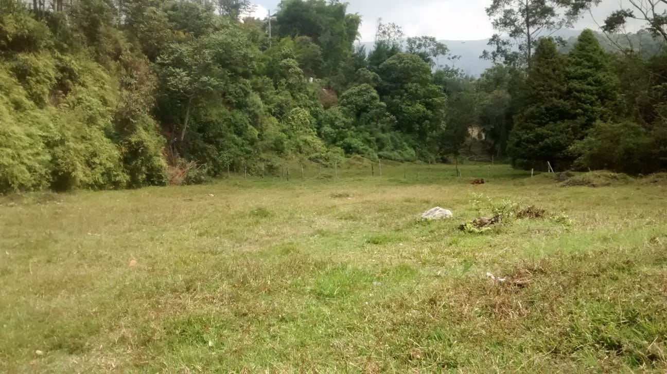 85730420260711123941 Lote en venta Caldas Antioquia