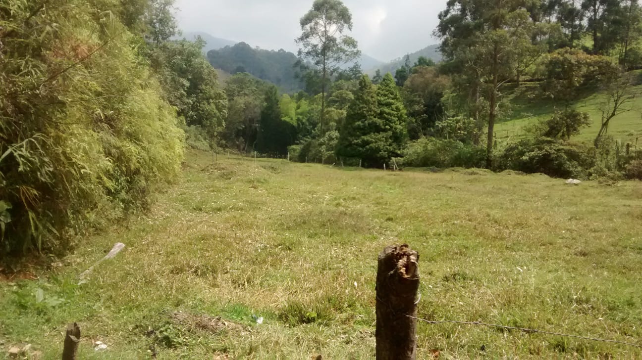85730620260711123942 Lote en venta Caldas Antioquia