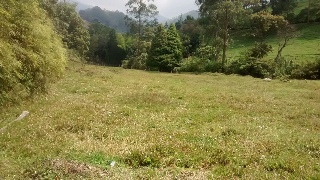 85730720260711123943 Lote en venta Caldas Antioquia