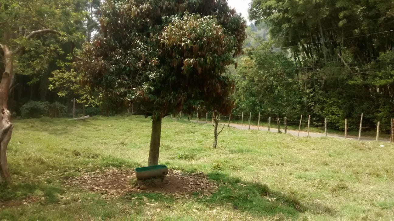 85730820260711123943 Lote en venta Caldas Antioquia