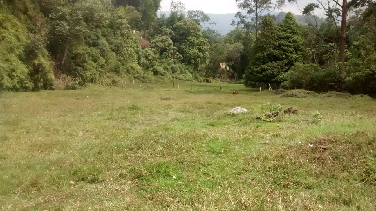 85730920260711123944 Lote en venta Caldas Antioquia